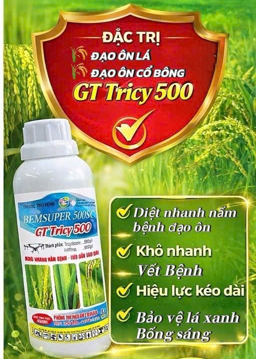 THUỐC TRỪ BỆNH - GT Tricy 500 (Đặc trị đạo ôn lá - đạo ôn cổ bông)